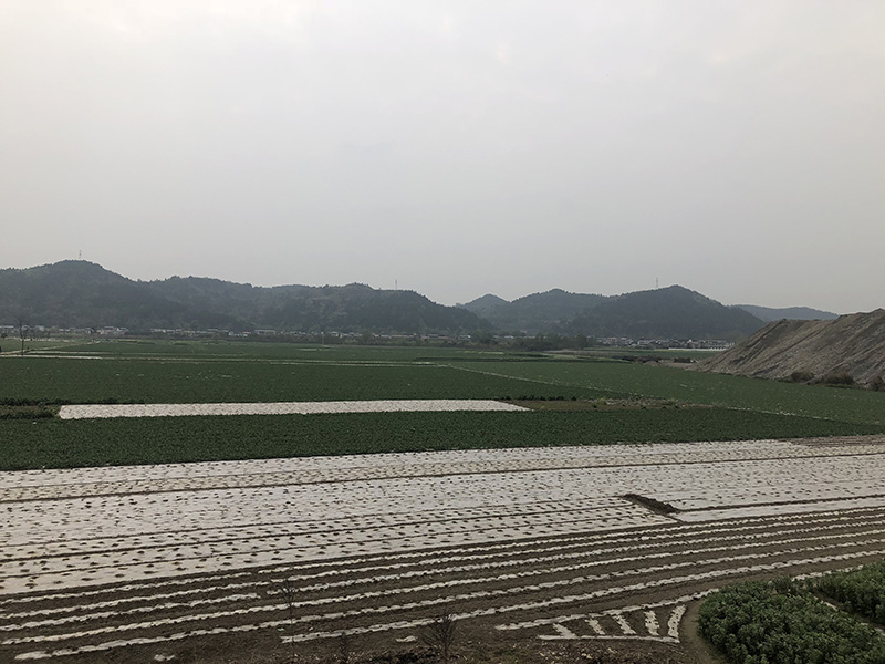 市、縣領(lǐng)導(dǎo)現(xiàn)場調(diào)研天馬50萬噸玻瓶項(xiàng)目(圖7)